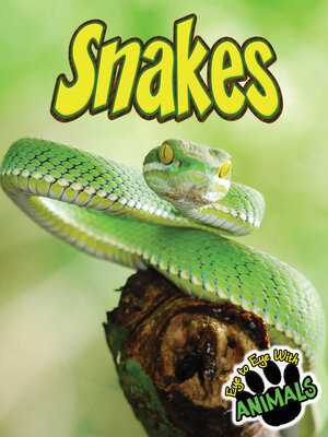 Snakes - ebook